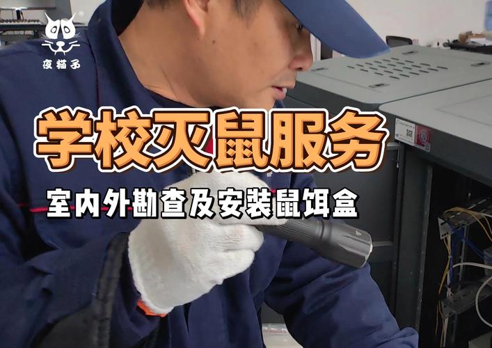 香港澳门 第12页